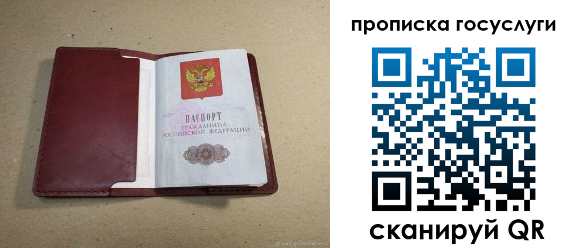 прописка поиск в Сосновоборске